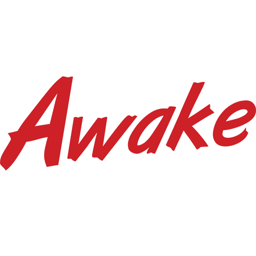 AWAKE 110